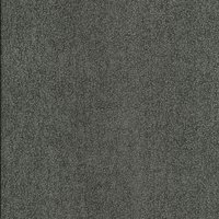 Comrad Iron