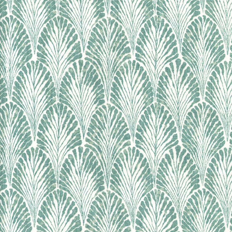 Plume Eucalyptus