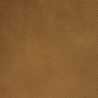 Praline